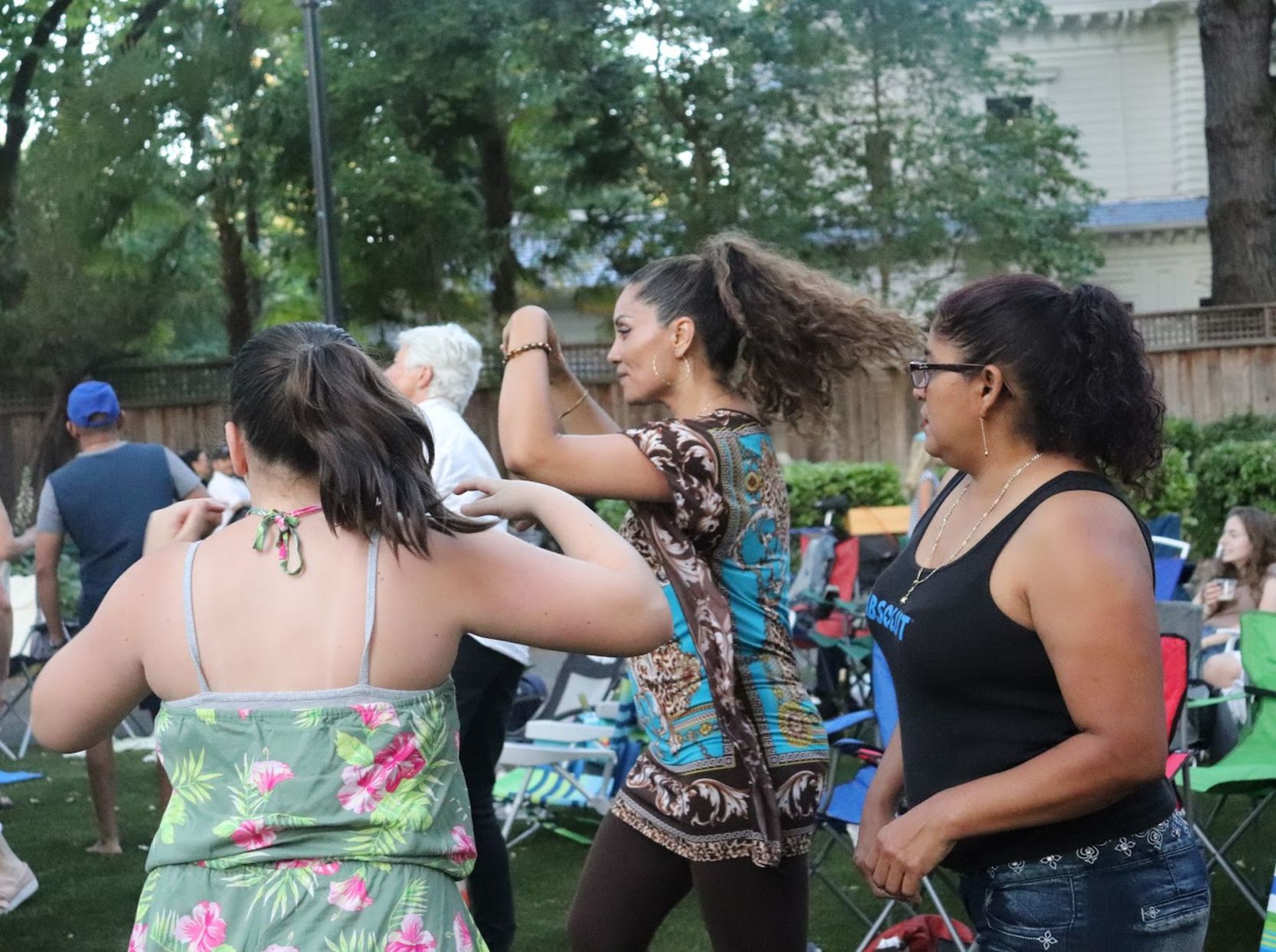 Concerts in the Park